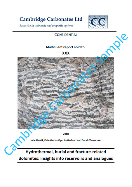 Hydrothermal report sample
